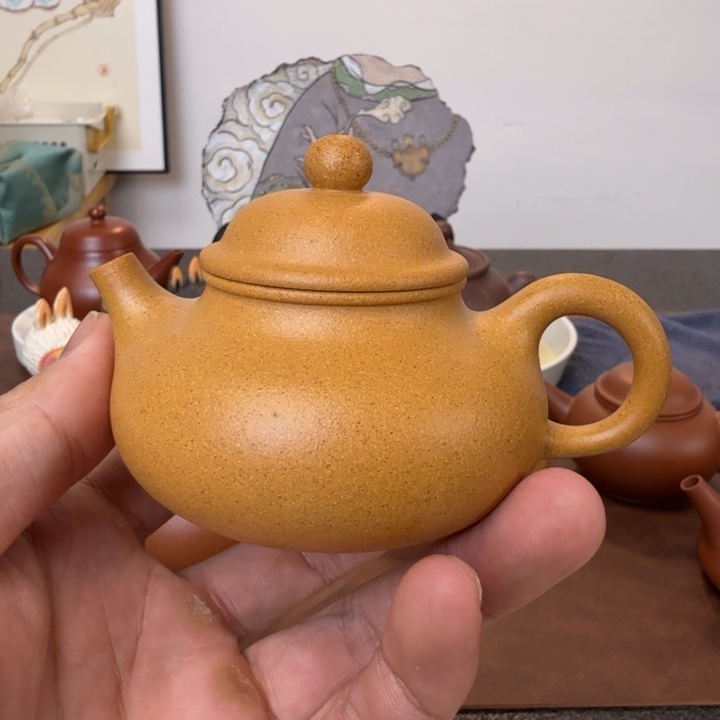茶壶紫砂黄金的容天
