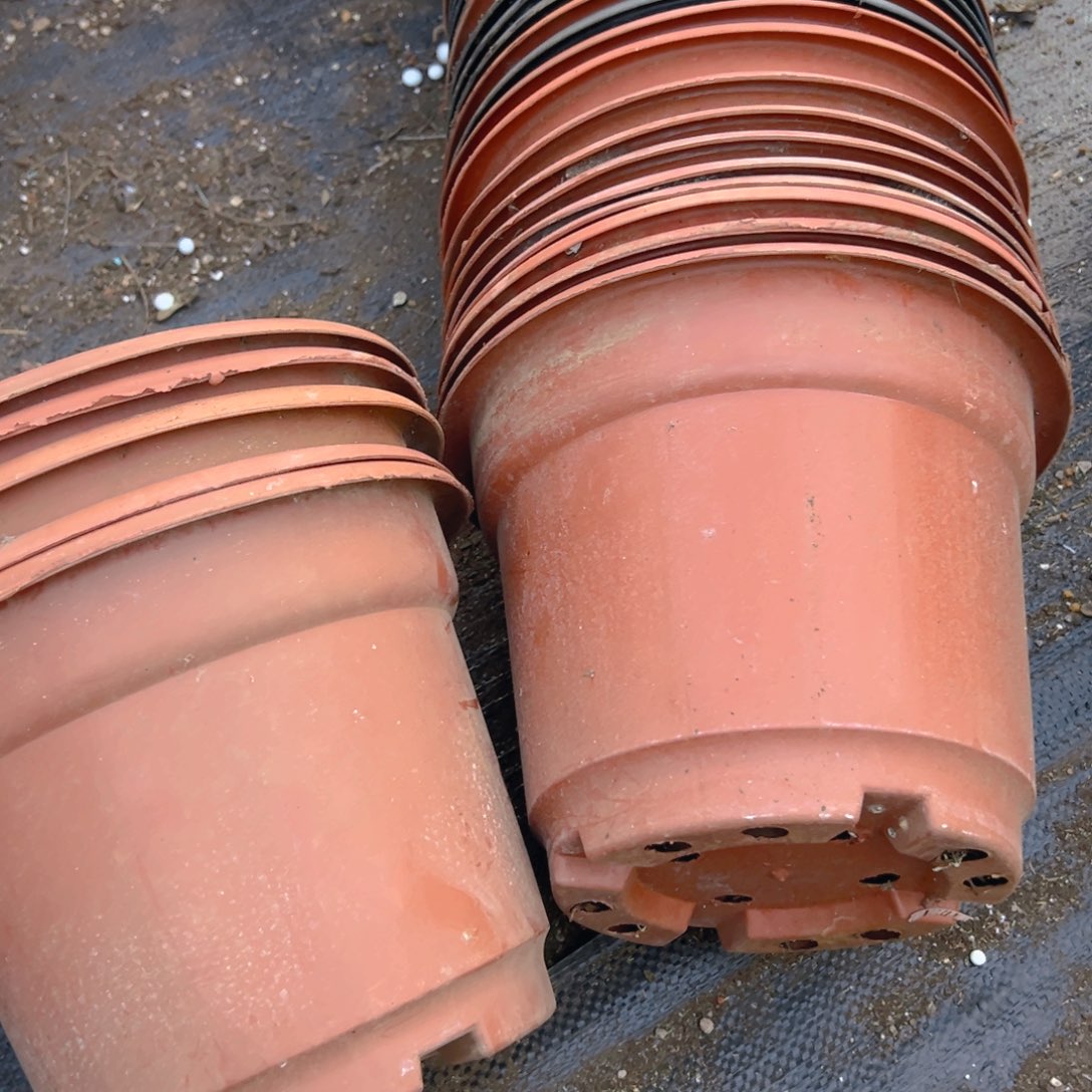 塑料红黑圆盆24.5口径19高 5个