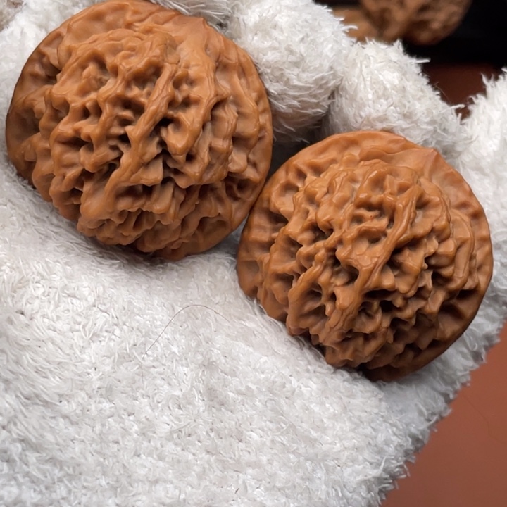 董****木质类秦核等人的故事都是在这里