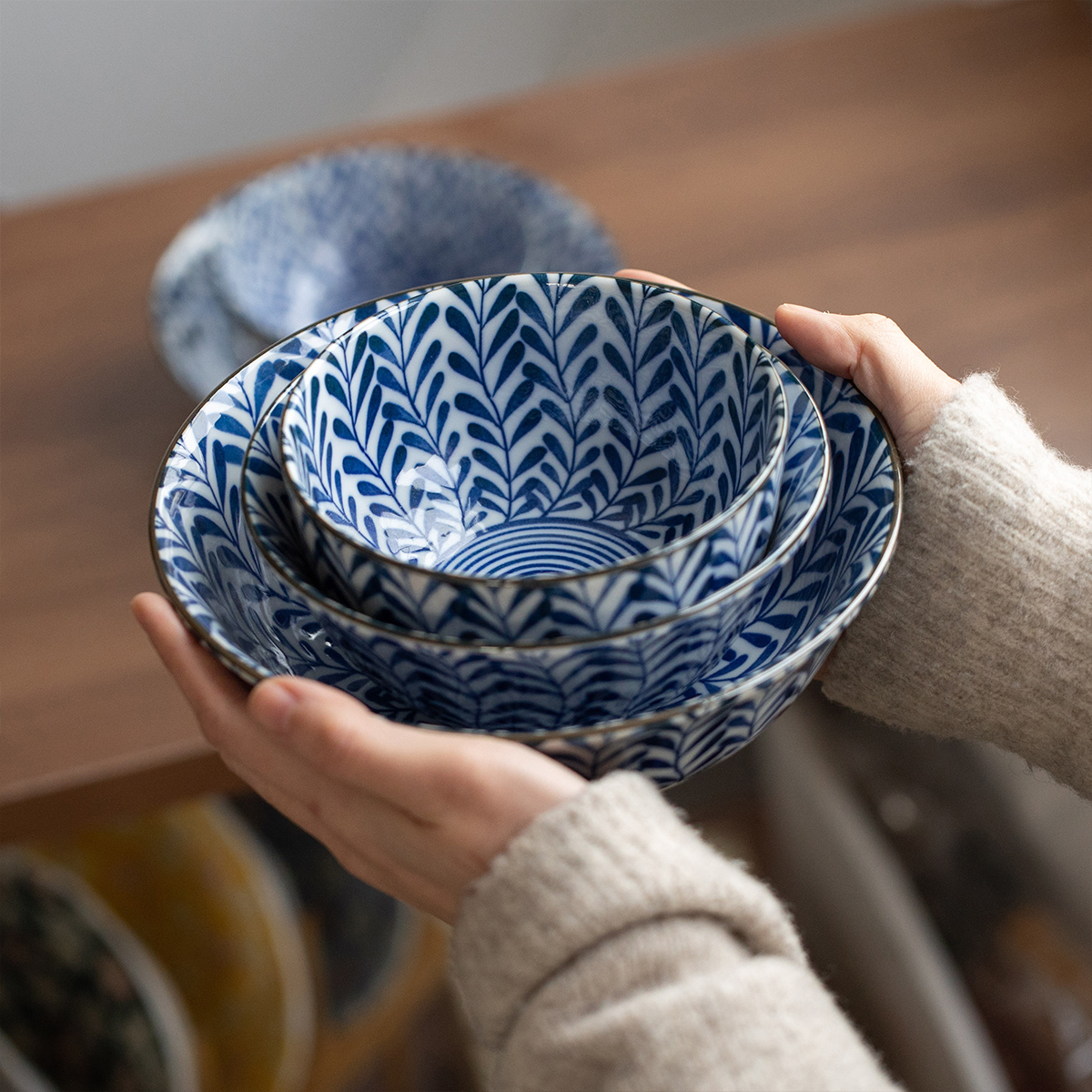 日本进口美浓烧复古柳叶陶瓷餐具日式米饭碗骨碟深菜盘多用汤面碗