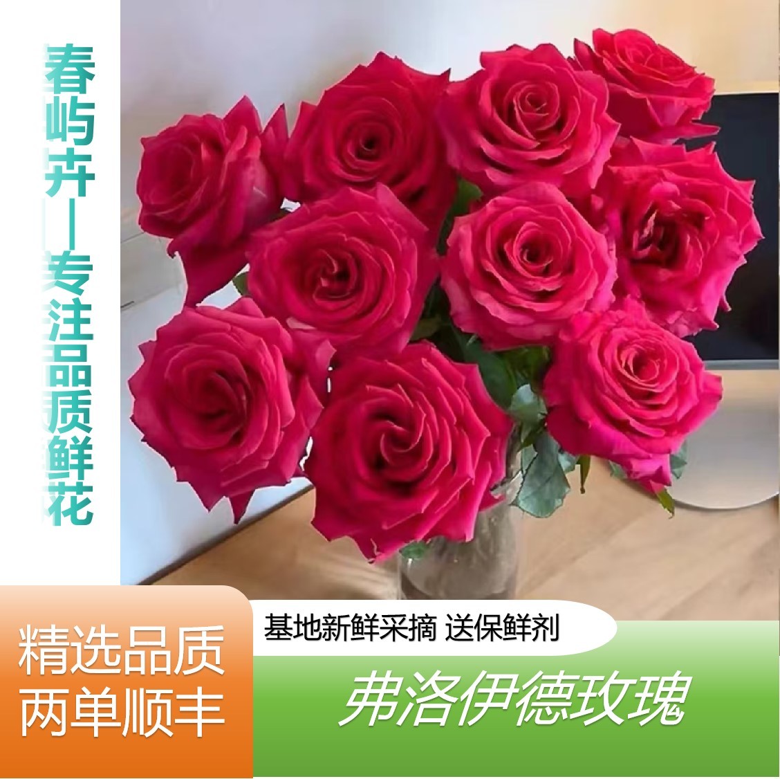 【弗洛伊德10支】云南鲜花基地直发鲜花任意两单升级顺丰送货上门