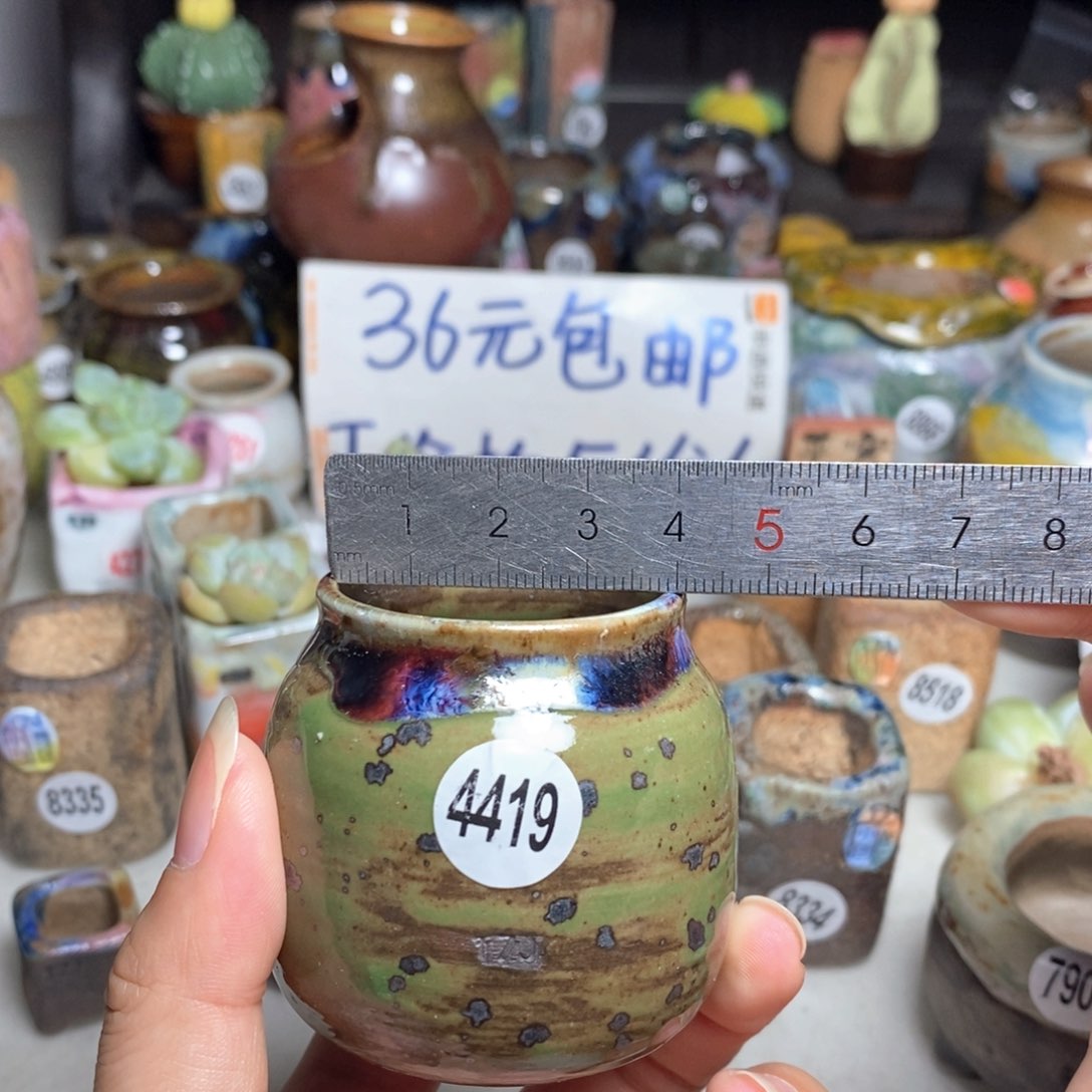 拍5送一个小礼物