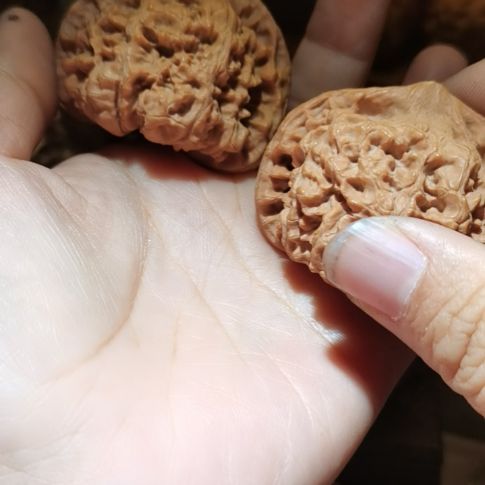 猴头核桃吊坠50龙鼎官