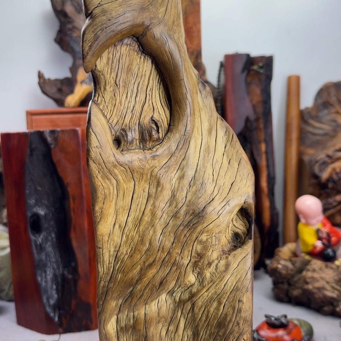 大果紫檀（缅甸花梨）?**?