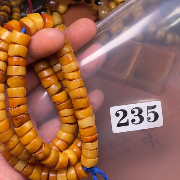 驼骨其他人工养殖