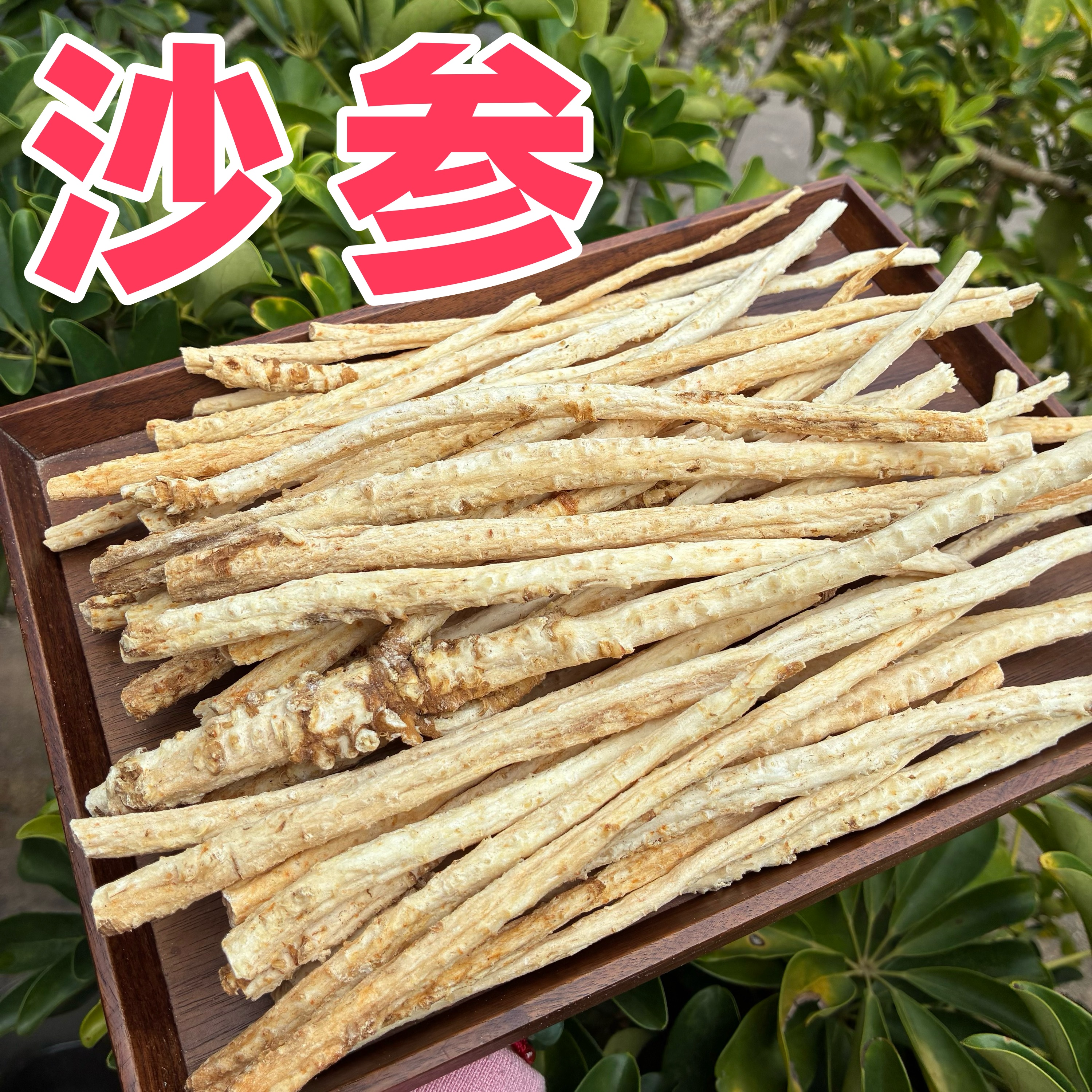 【沙参】精选中长条北沙参条 煲汤清润可口滋补营养无酸味