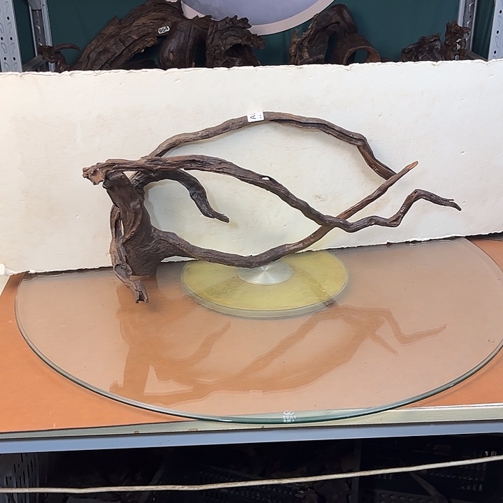 尚***武云南紫柚木238238