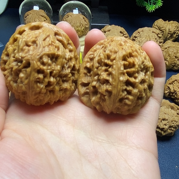 把件桃核核桃把件10