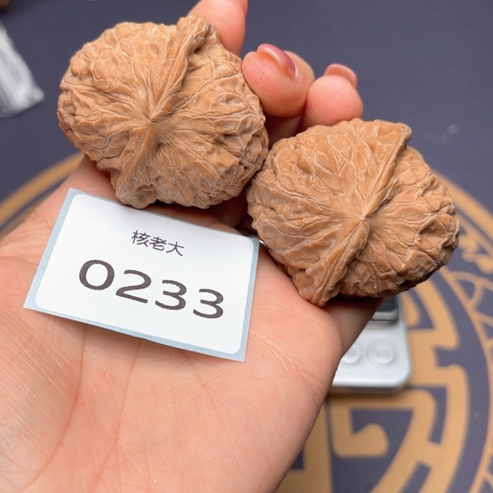 文玩核桃把件43南瓜墩 0233