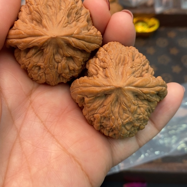 核桃虎头王44尺核桃