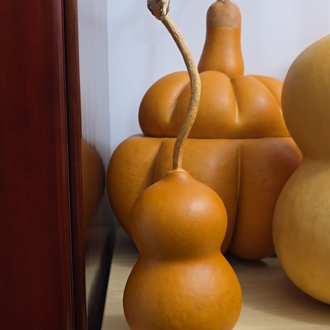 为***醋老皮墩啊啊啊啊啊啊啊