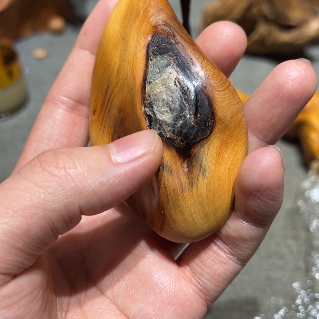 柏木（崖柏）北太行陈化崖柏