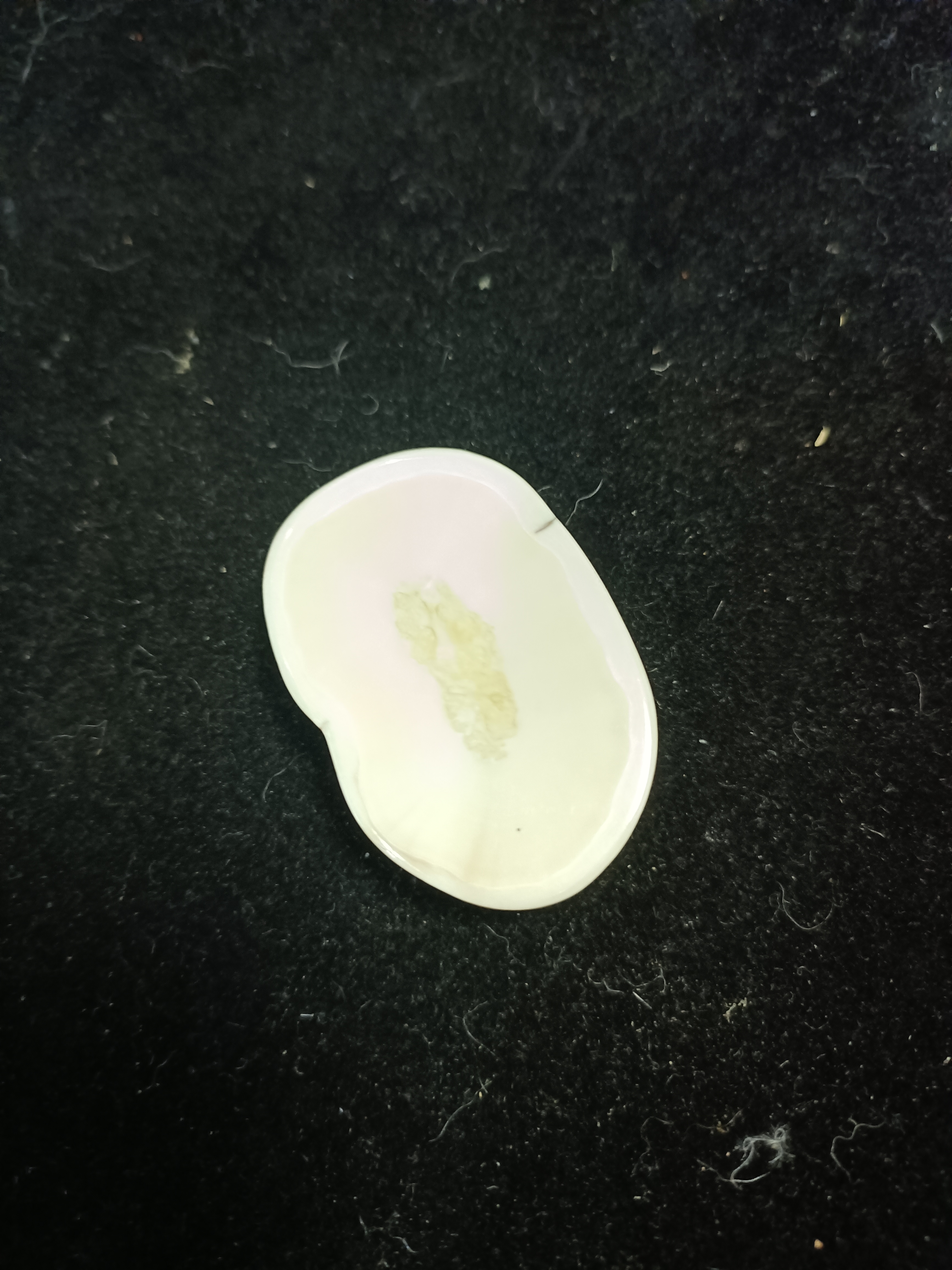 猛犸猛犸虬饼子WW502