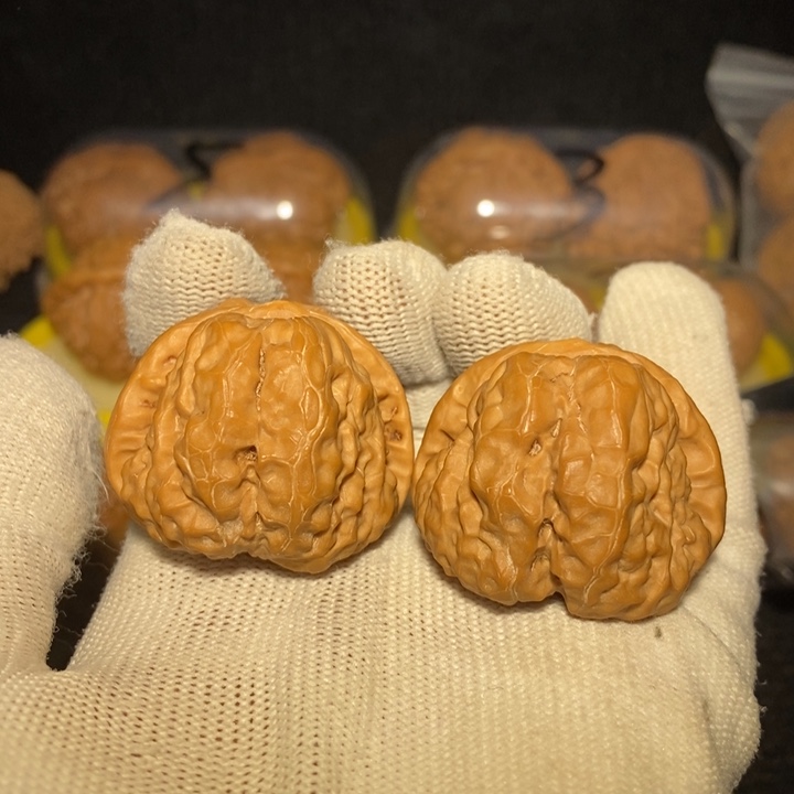 蛤蟆头狮子头38尺新春福利