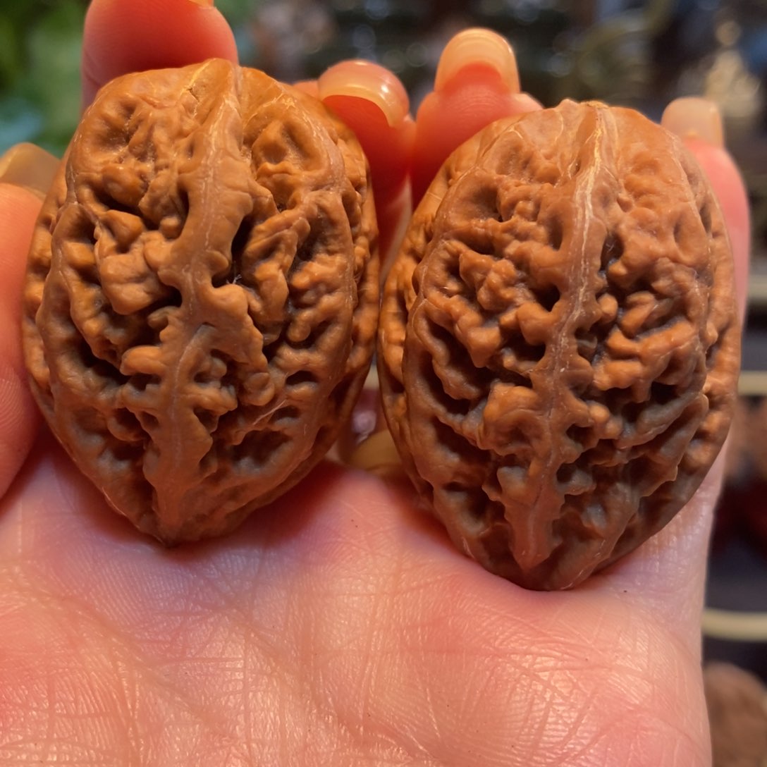 文玩核桃吊坠老树珊瑚纹35