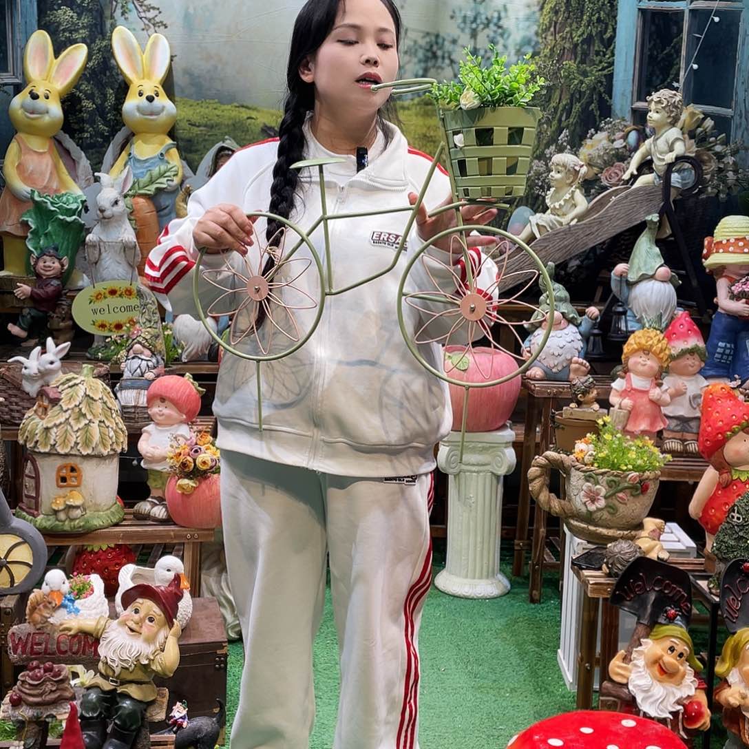 摆件花园摆件红红火火