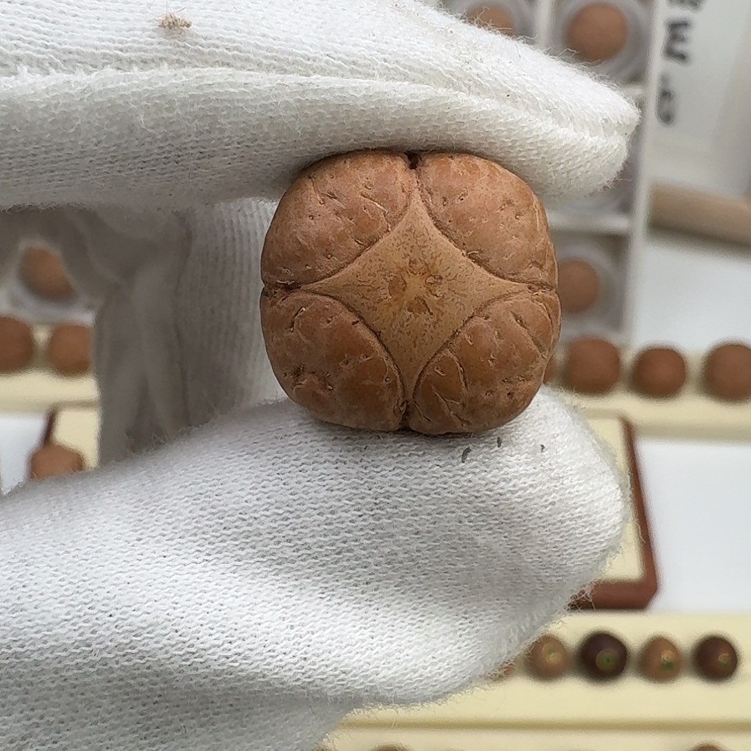 修***修凤眼菩提吊坠客定麒麟佛头（打孔不退/已封眼）20.5/14.4