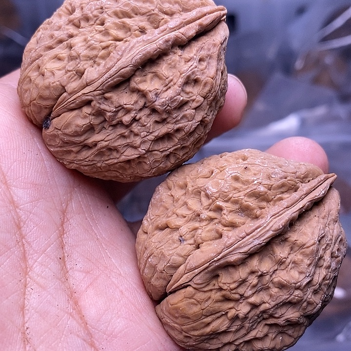 把件文玩核桃   204