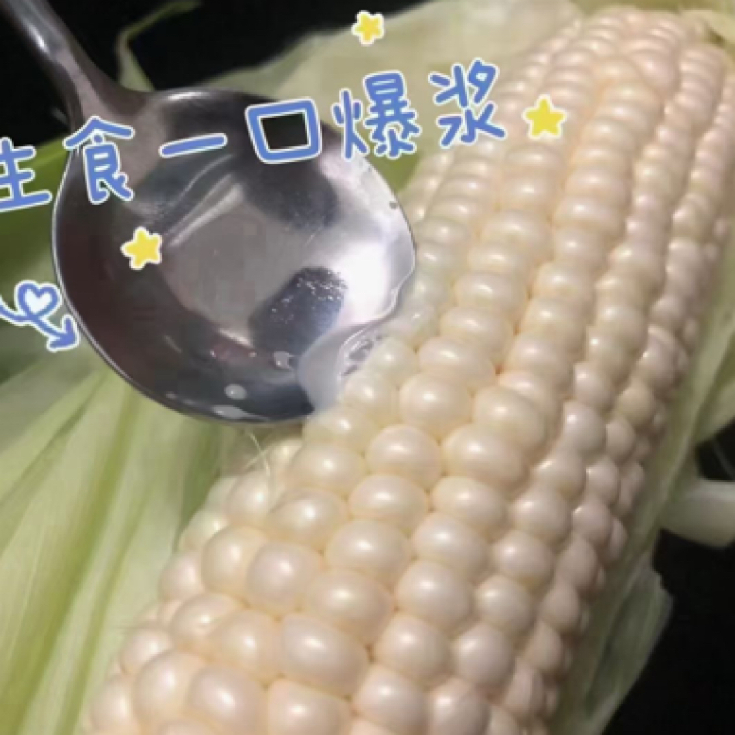 密云本地现掰冰糖牛奶水果鲜玉米北京市