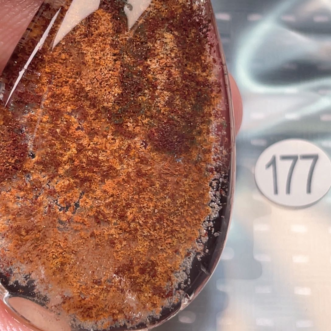 【闪购商品】颈饰未镶嵌水晶Y**妍