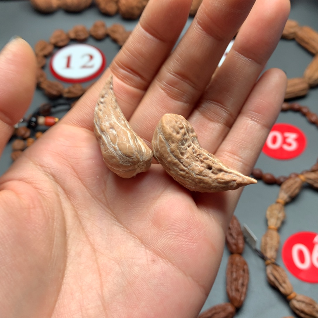 用***h核桃48虚尖异型核桃