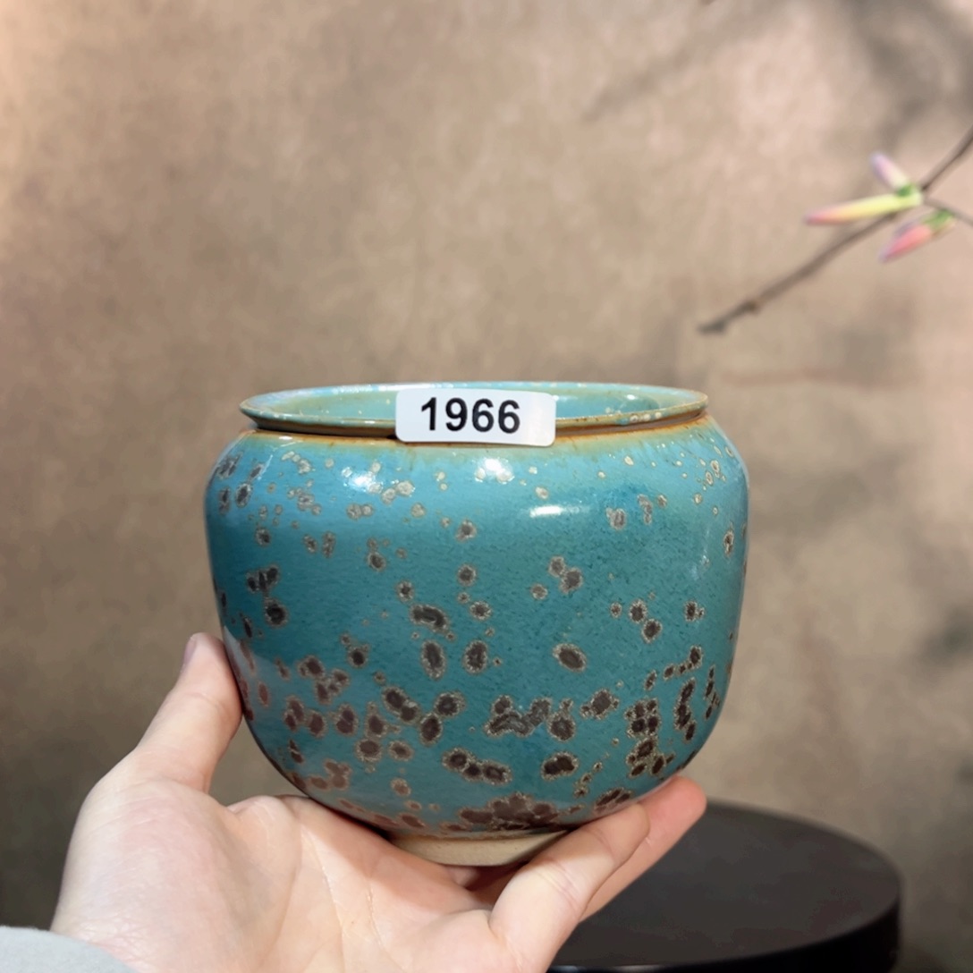 罐196600000000000000000