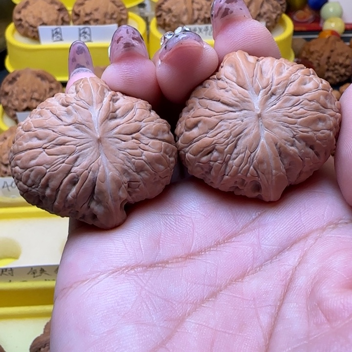 丰**宝弯弯核桃，全屏铁锤妹妹弯弯核桃全屏铁锤妹妹