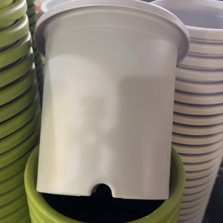 特价7#无托灰白6个