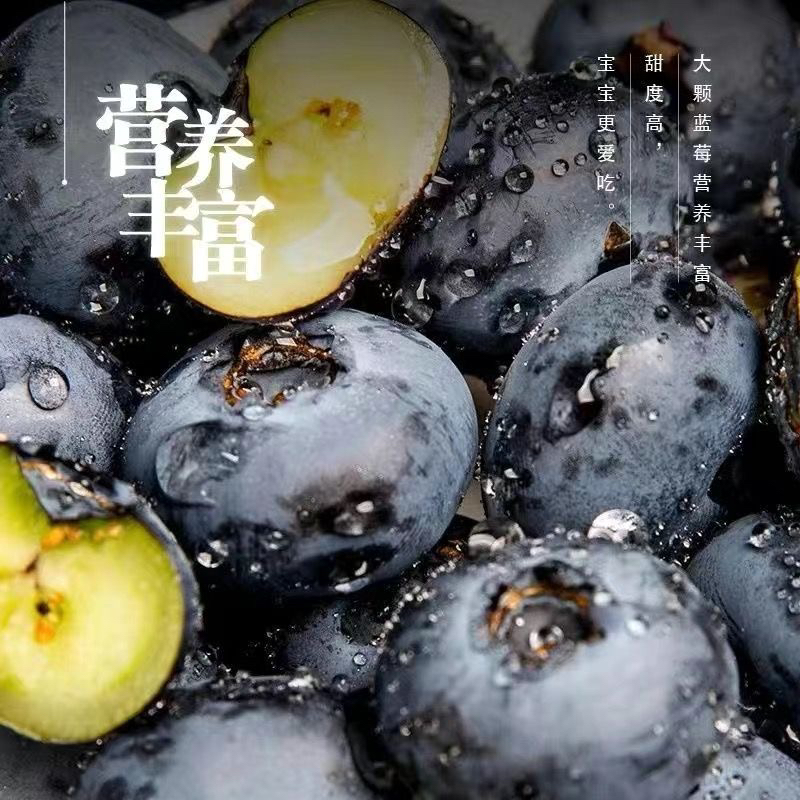 2桶 净重巨无霸 规格18-22mm蓝莓水果 头茬花香航空冷链 产地直发