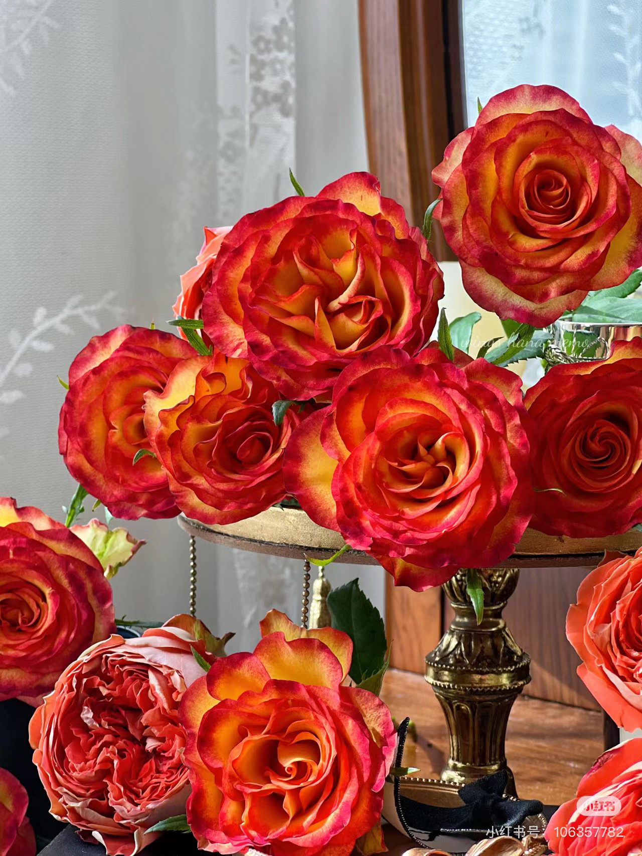 （单头玫瑰）老虎10支！三件顺丰空运20%不售后