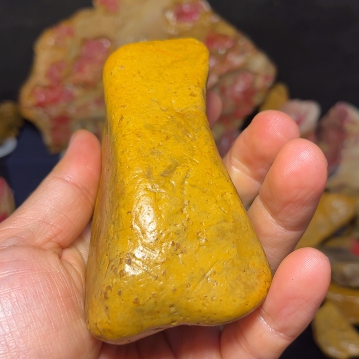 沧***海昌化石国石昌化石