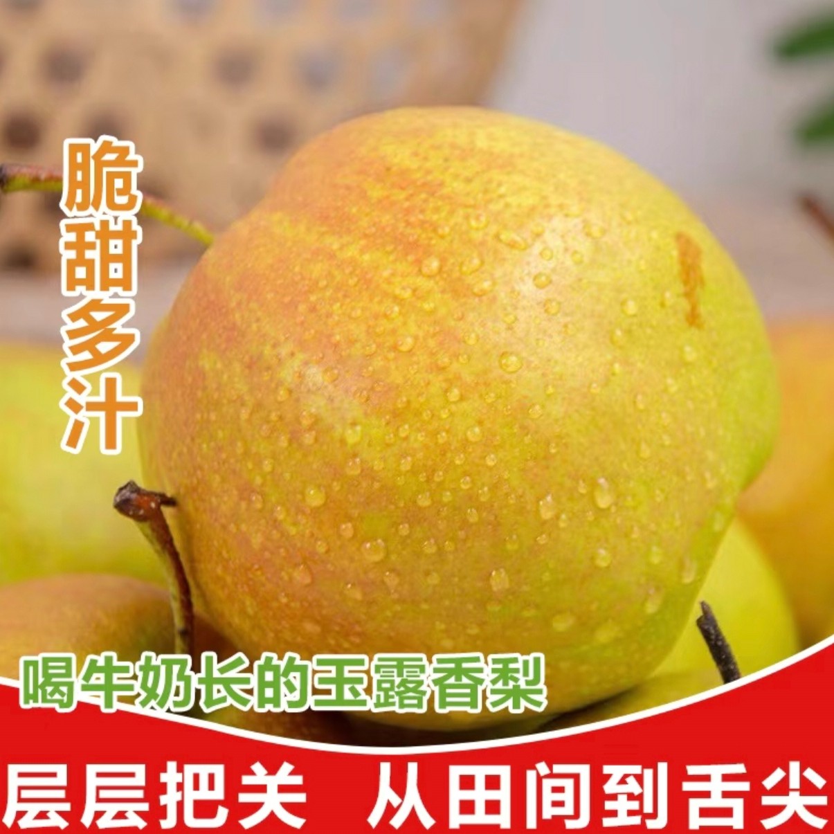 甄选优质山西隰县玉露香梨新鲜水果应季一级玉露香