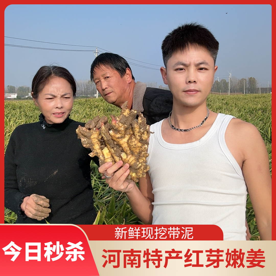 王婆一家鲜嫩红芽嫩姜断姜