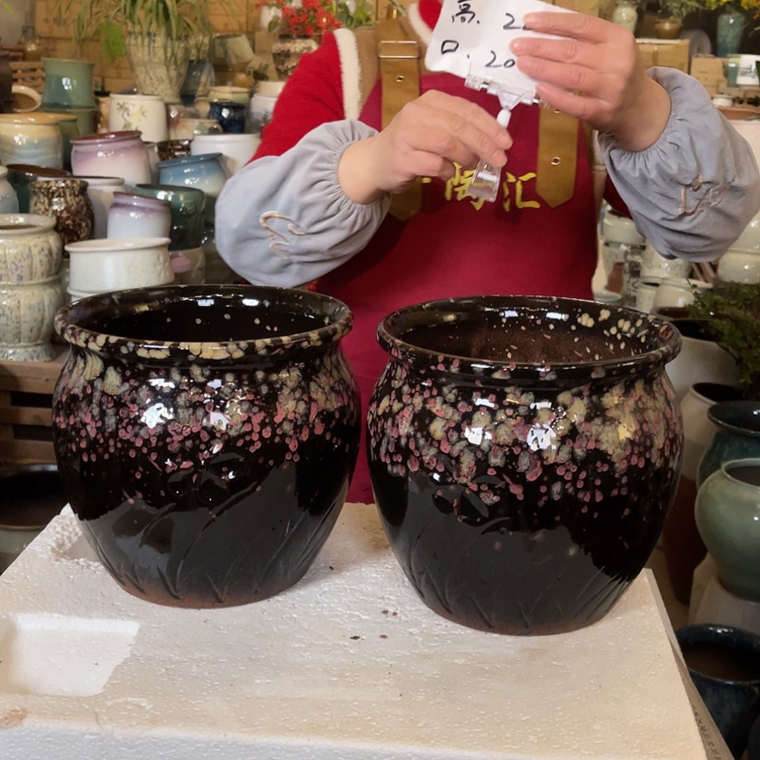 红陶高度20口径20