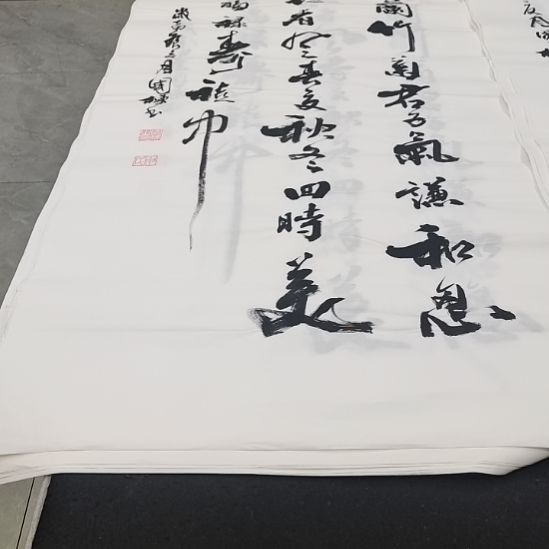 翰墨申国栋老师作品一副