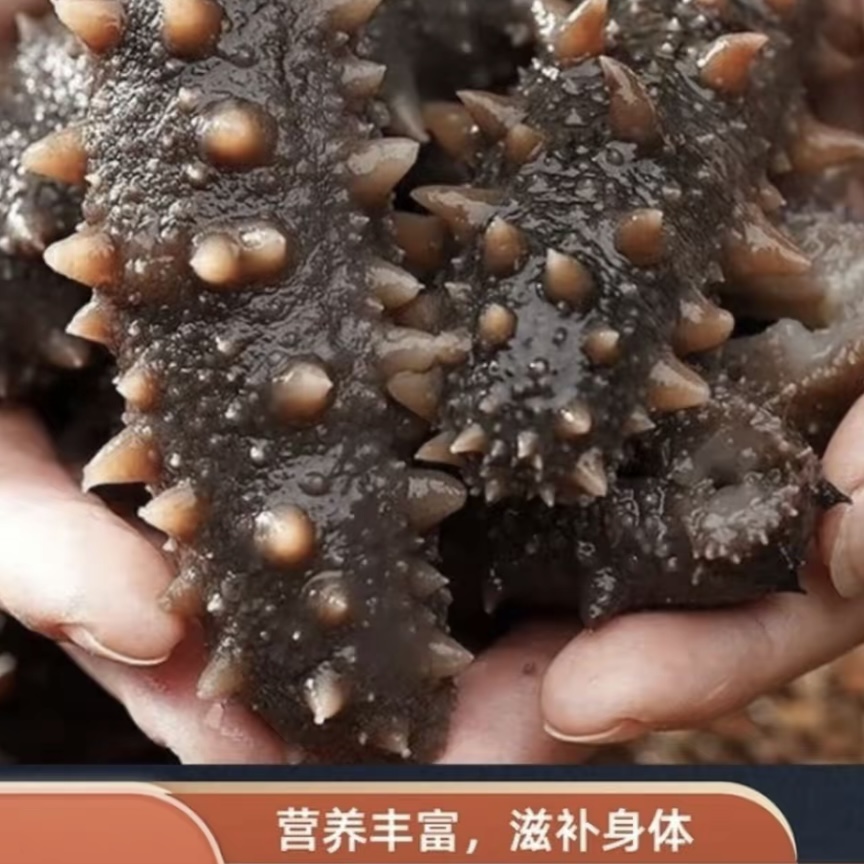 青岛鲁邦润合干海参
