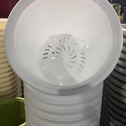 树脂四季7号无托白色6个