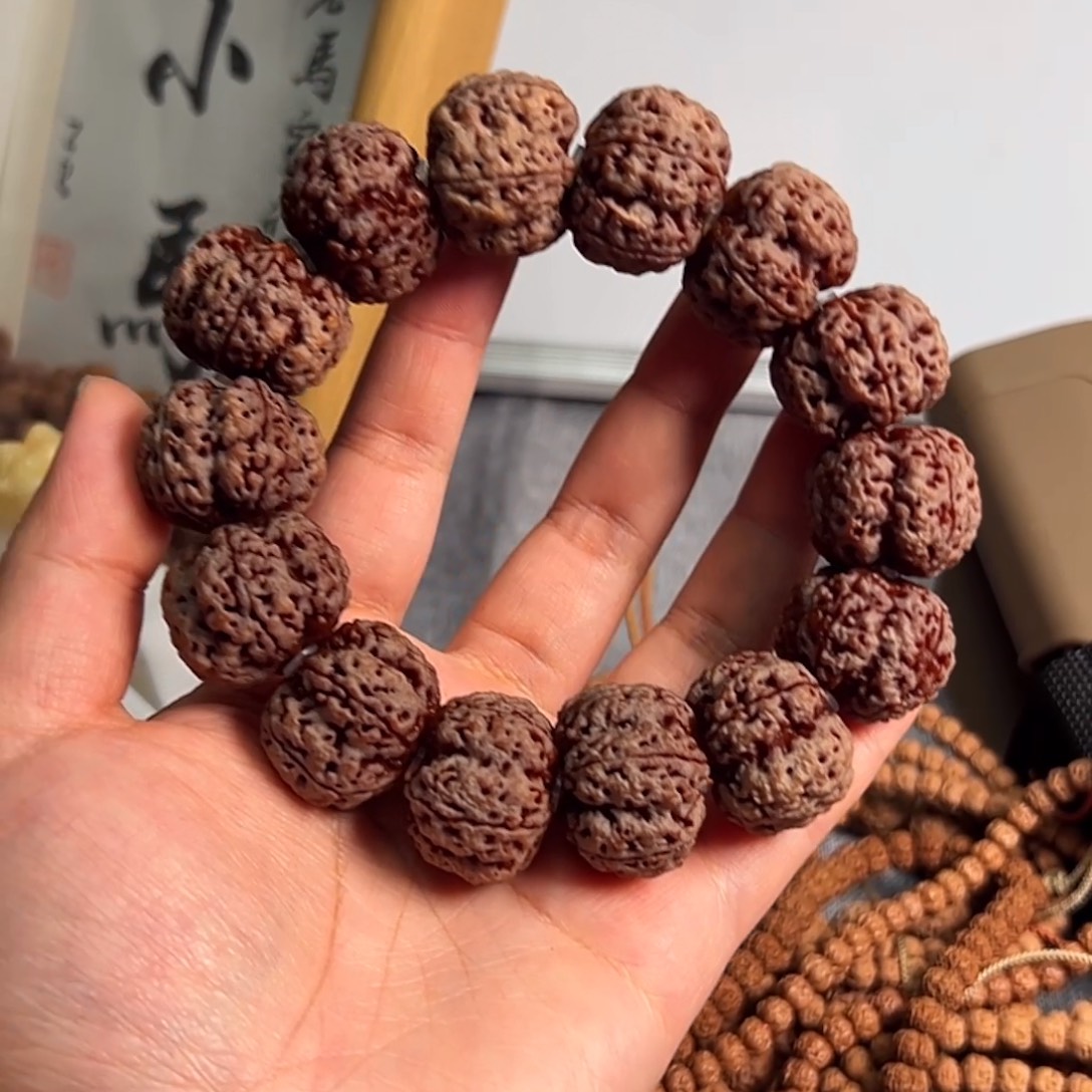 突***查金刚菩提吊坠梁26➕B级
