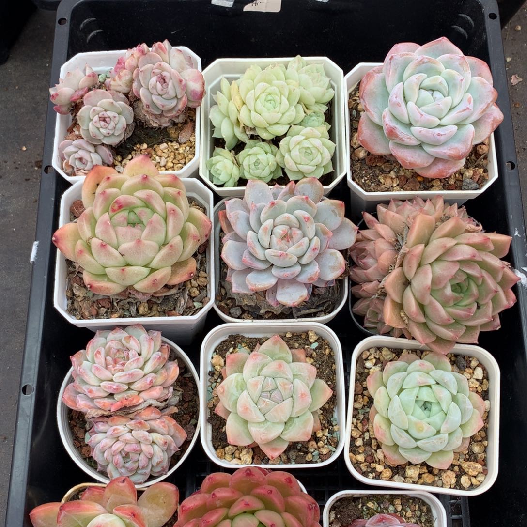 1211-38 套餐一组