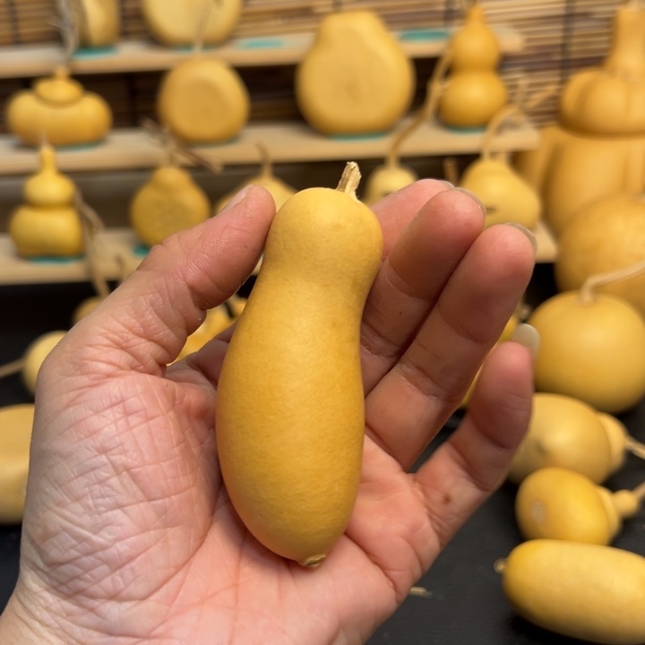 年**鱼葫芦葫芦葫芦葫芦葫芦葫芦