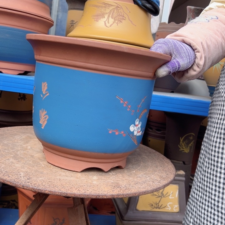 27蓝金钟点菜花盆花盆