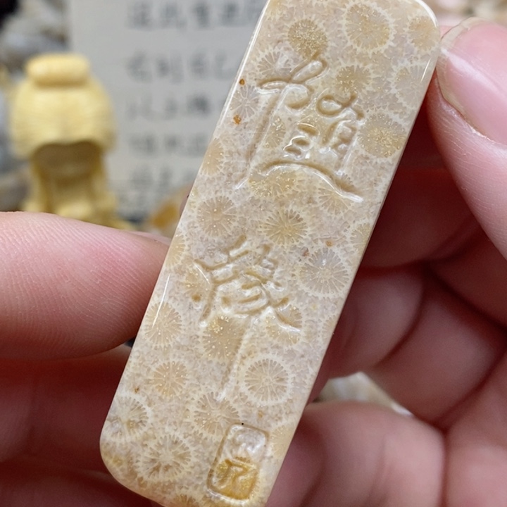 颈饰未镶嵌硅化珊瑚（珊瑚玉）有瑕