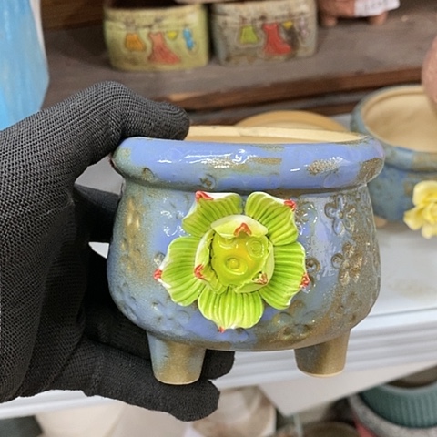 【闪购商品】红陶1