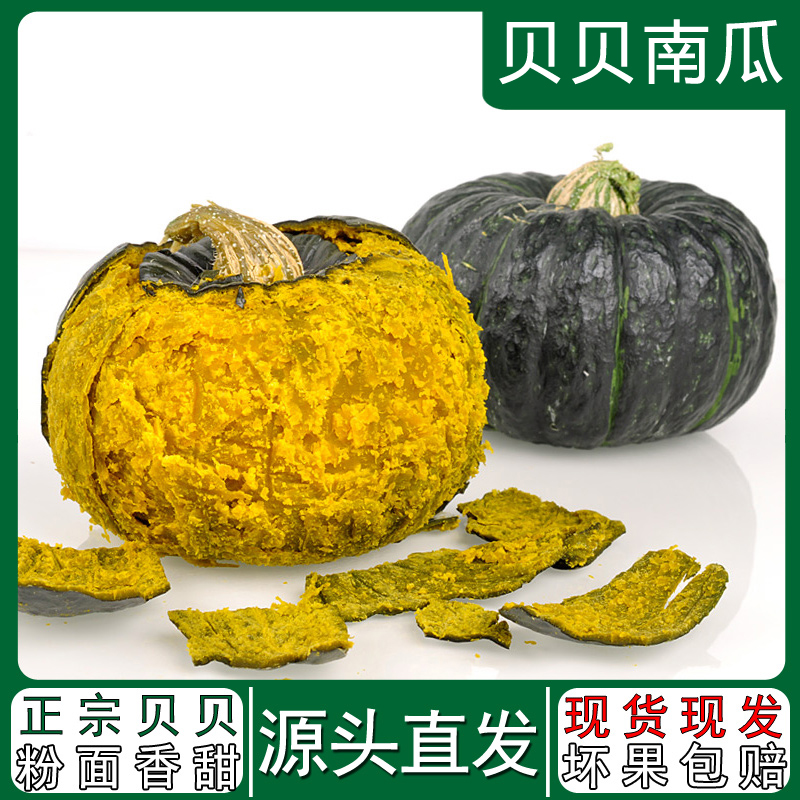 【爆粉贝贝】山东贝贝南瓜粉糯香甜宝宝辅食板栗味4.5斤