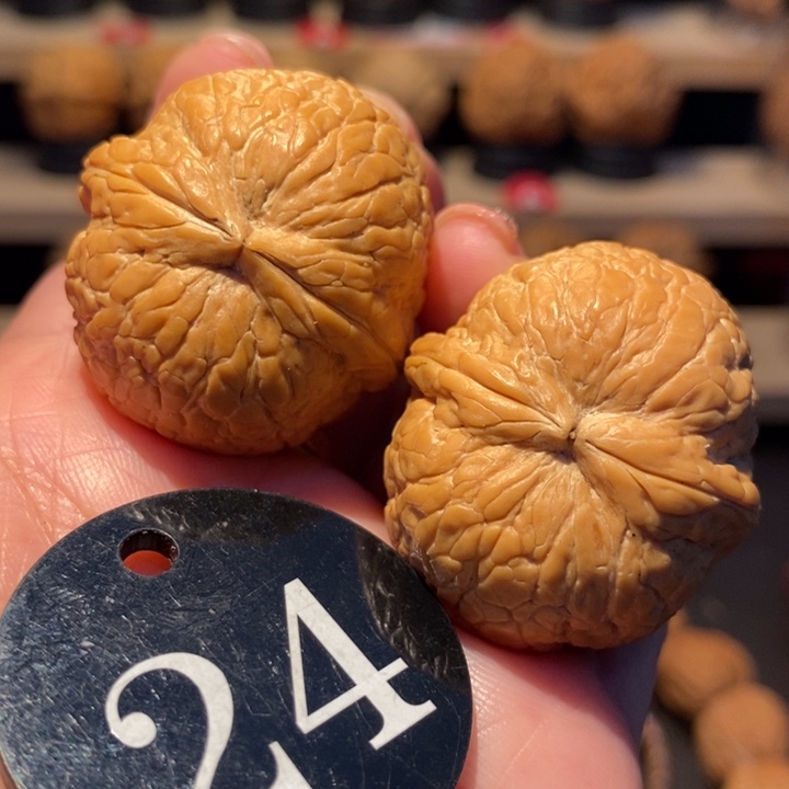 木质类粗筋大西瓜35尺寸