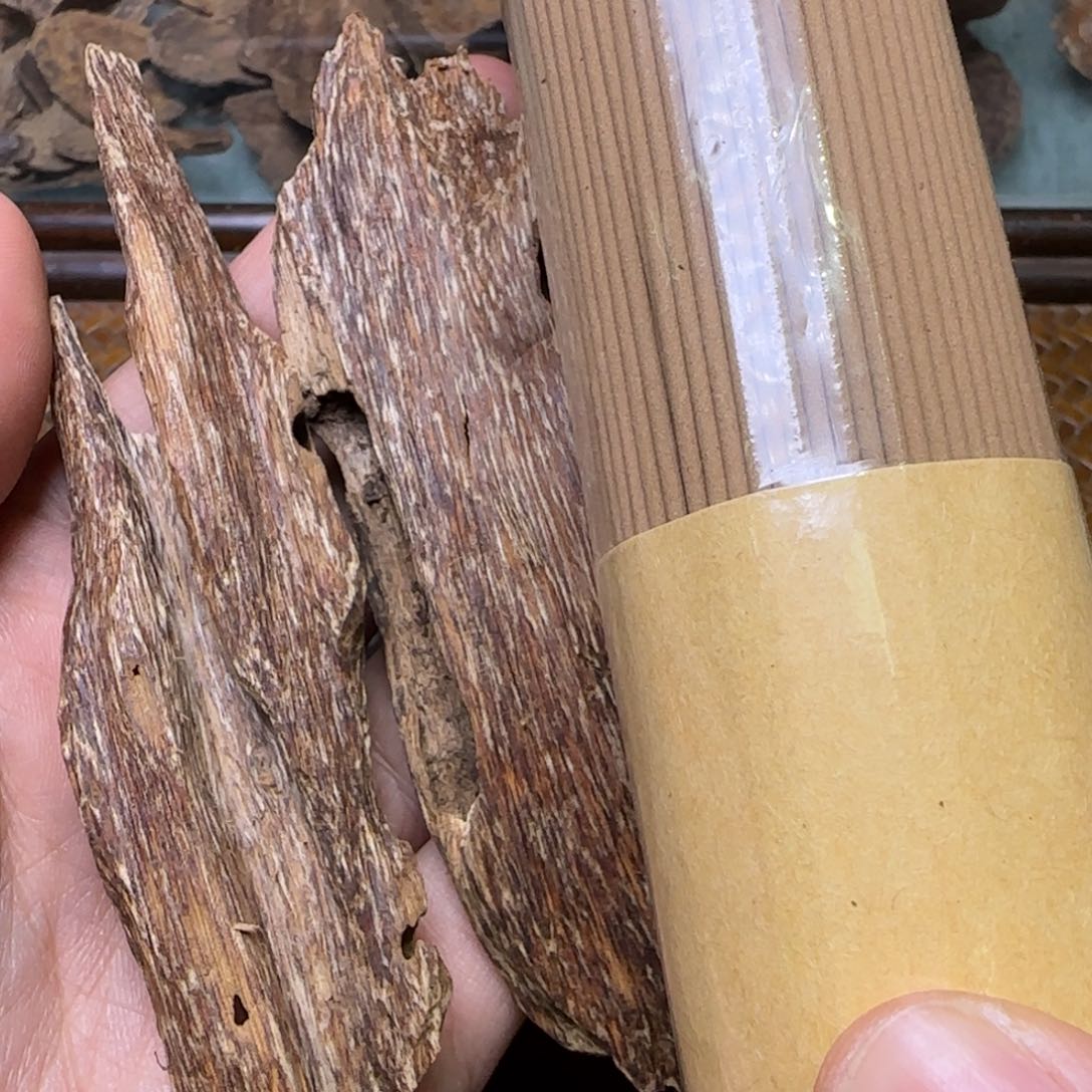 海南天然野琼海虫漏12克重福利