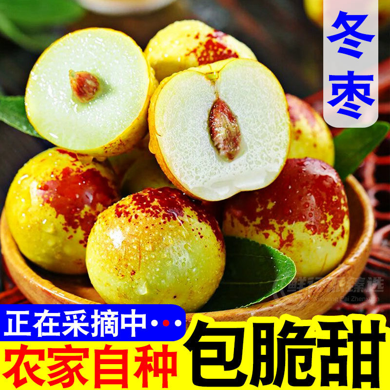 A冰糖冬枣脆甜多汁鲜枣红枣应季新鲜水果