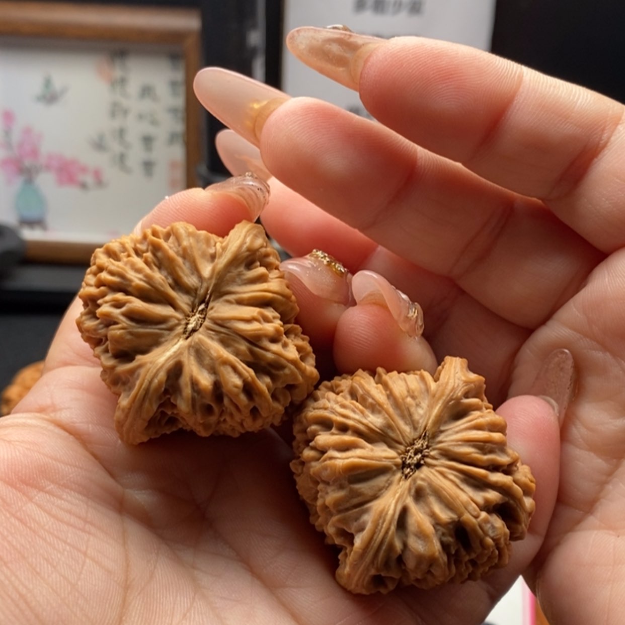 【闪购商品】受**禄南疆三角炮9号