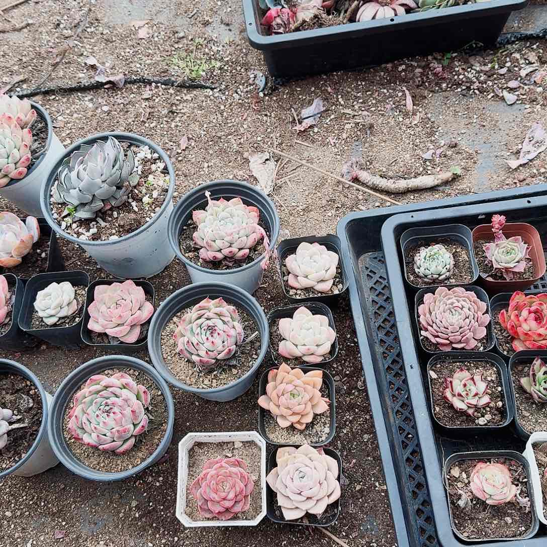 男****哈哈哈哈哈哈哈哈哈哈哈