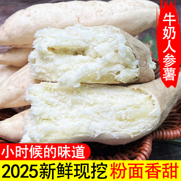 新鲜现挖白皮人参薯牛奶白薯板栗薯香甜粉面白心番薯
